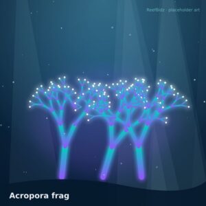 TEST Quick List — Buy Now frag
